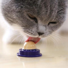 Load image into Gallery viewer, SnackCat™ Supplement For Cats